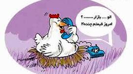 اندر حکایت مرغی که زبان باز کرد