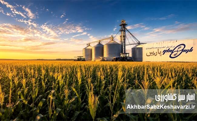 روایتی از پایان یک انتظار فرساینده؛ عبور «زپارس» از بحران ۳۰ ماهه