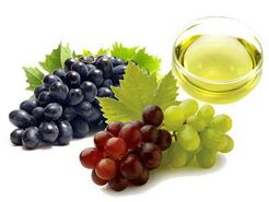 استخراج روغن هسته میوه‌ها؛ ارزش افزوده پنهان در تفاله صنایع