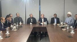 وزیر جهاد کشاورزی: واردات گوشت از برزیل کاهش می‌یابد