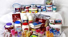 دولت به محصولات لبنی یارانه بدهد


