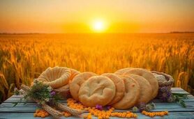 تأکید معاون وزیر جهاد کشاورزی بر ضرورت رویکرد علمی و هماهنگ در زنجیره گندم تا نان
