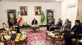 پنیر ایرانی در راه ژاپن

