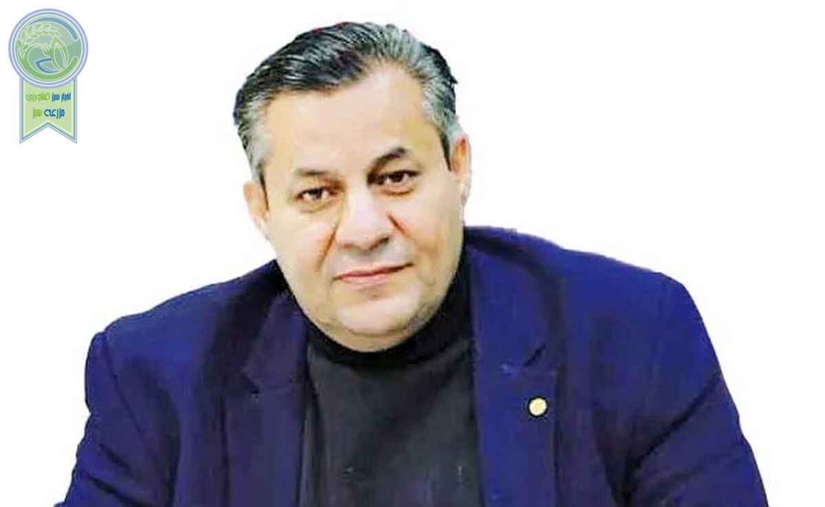 سیاست‌های ارزی و فضای روانی بازار عامل افزایش قیمت‌ گوشت

