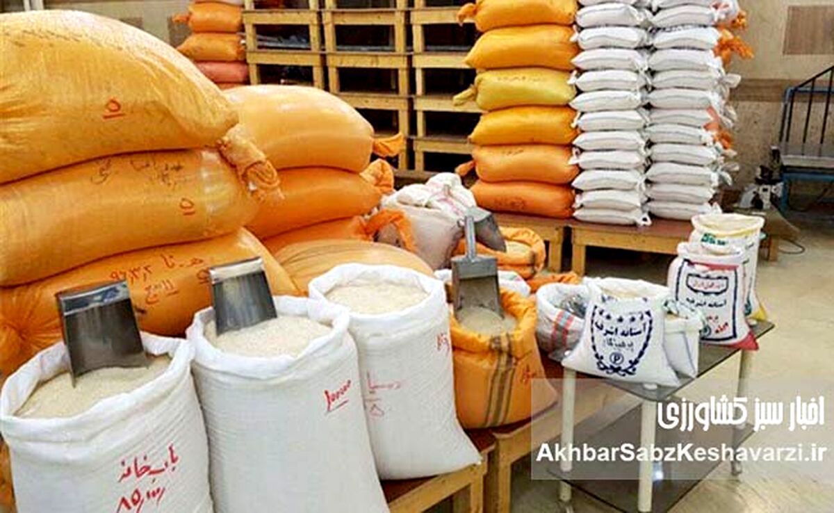 قیمت برنج در بازار ایران اعلام شد؛ نرخ جدید ۱۷۰ هزار تومانی و معمای واسطه‌ها!