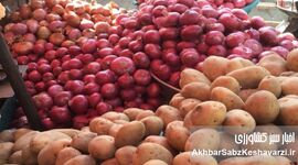 زنگ خطر در سفره‌ها؛ ورود سیب‌زمینی و پیاز به فهرست کالابرگ