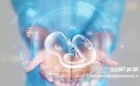ناپدید شدن جنین‌ها در بیمارستان آبان؛ گزارشی تکان‌دهنده