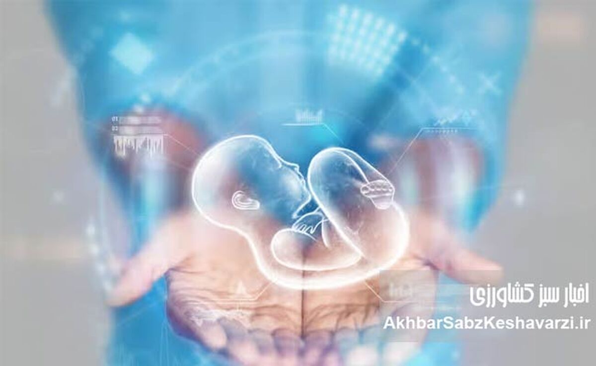 ناپدید شدن جنین‌ها در بیمارستان آبان؛ گزارشی تکان‌دهنده