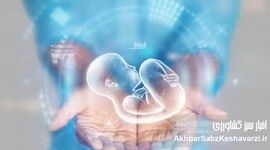 ناپدید شدن جنین‌ها در بیمارستان آبان؛ گزارشی تکان‌دهنده