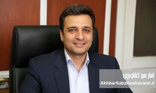 احیای سازمان توسعه روستایی؛ بازآفرینی نقش تسهیل‌گری و حکم‌‌رانی محلی در توسعه کشاورزی پایدار