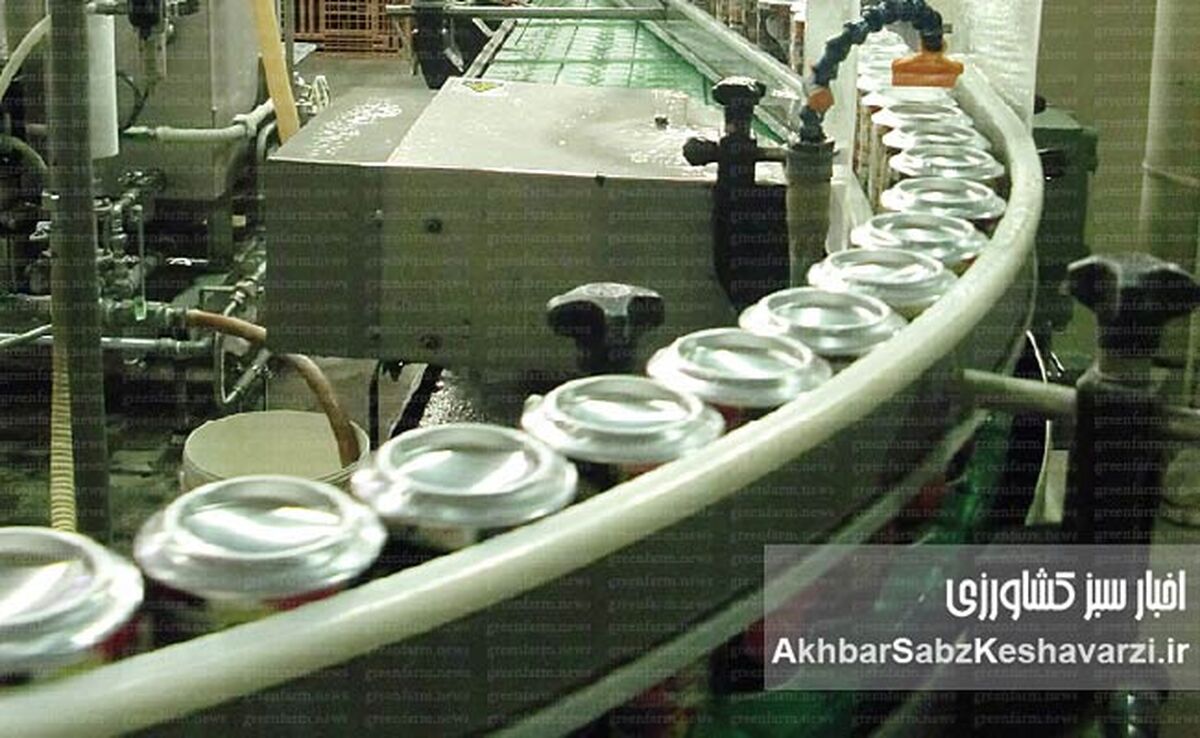 صنایع غذایی ایران در گرداب چالش‌ها: ریشه‌های مشکلات صنایع غذایی ایران کجاست؟