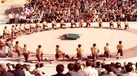 7 ورزش که منشا ایرانی دارند

