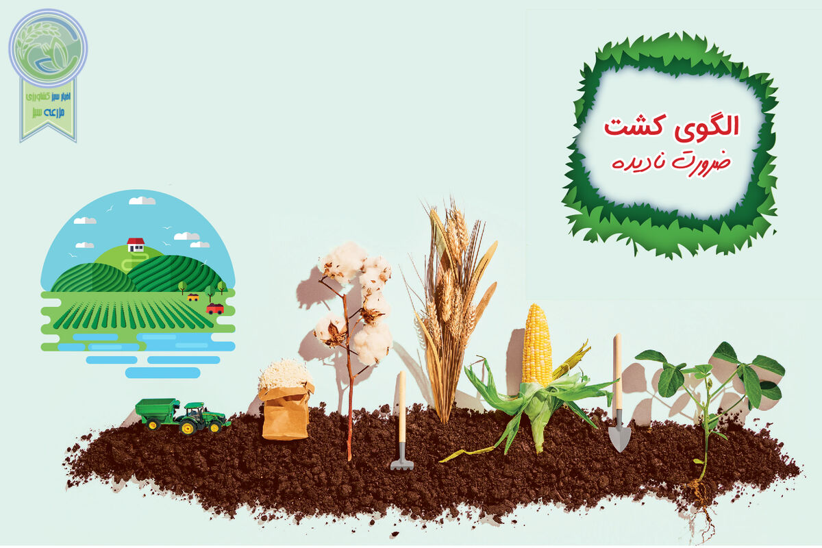 الگوی کشت، ضرورتی که نادیده گرفته شد

