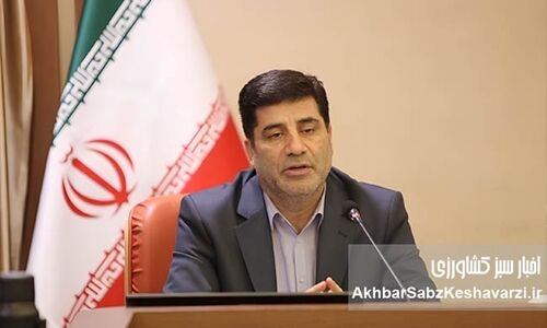 مدیریت مصرف برق؛ ضرورتی راهبردی برای صیانت از تولید و امنیت غذایی
