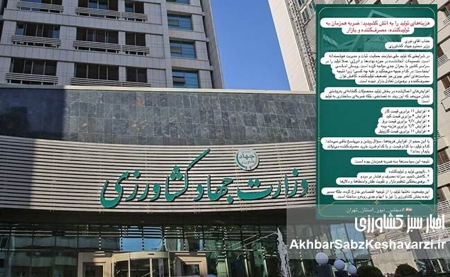 جهش هزینه تولید گلخانه‌ای؛ فشار بر کشاورز و سفره خانوارها
