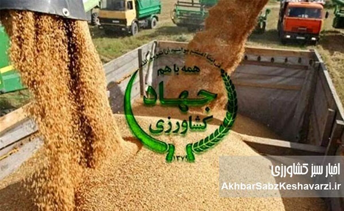 بحران نهاده‌های دامی؛ زنگ خطری دیگر برای امنیت غذایی ایران