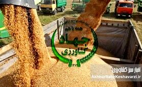 بحران نهاده‌های دامی؛ زنگ خطری دیگر برای امنیت غذایی ایران