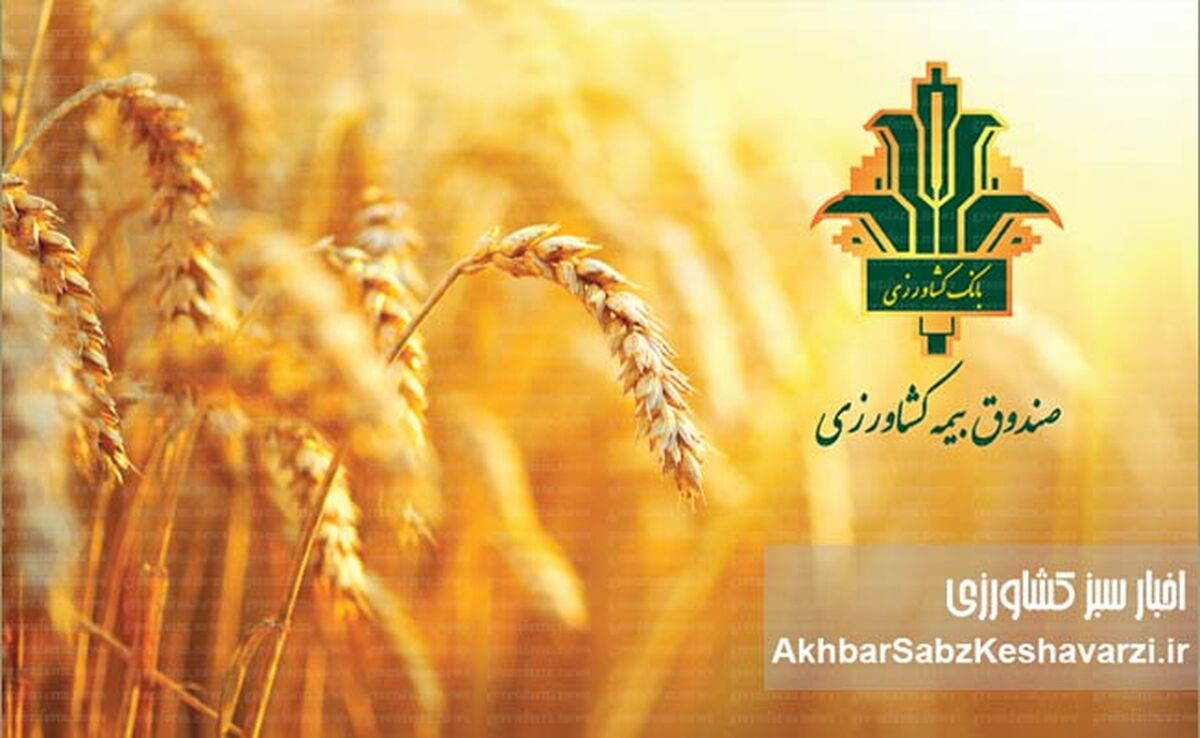 جهش تاریخی سرمایه صندوق بیمه کشاورزی؛ افزایش ۴۰۰۰ درصدی پس از تصویب مجمع عمومی