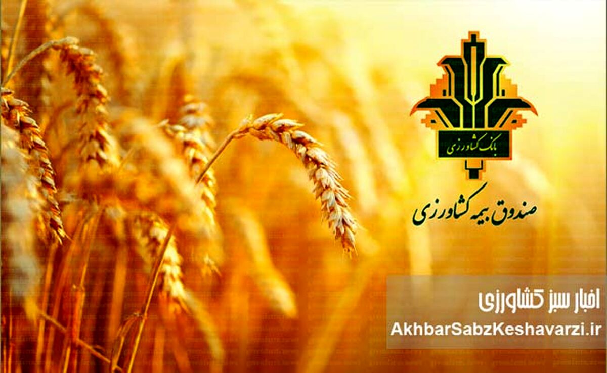 جهش تاریخی سرمایه صندوق بیمه کشاورزی؛ افزایش ۴۰۰۰ درصدی پس از تصویب مجمع عمومی