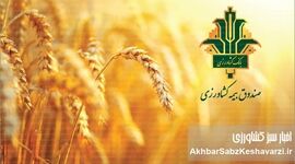 جهش تاریخی سرمایه صندوق بیمه کشاورزی؛ افزایش ۴۰۰۰ درصدی پس از تصویب مجمع عمومی