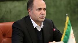 نوری: انحصار واردات نهاده‌های دام و طیور شکسته شد