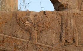 میراث تاریخی ایران در نبرد با گلسنگ‌ها و فرونشست زمین


