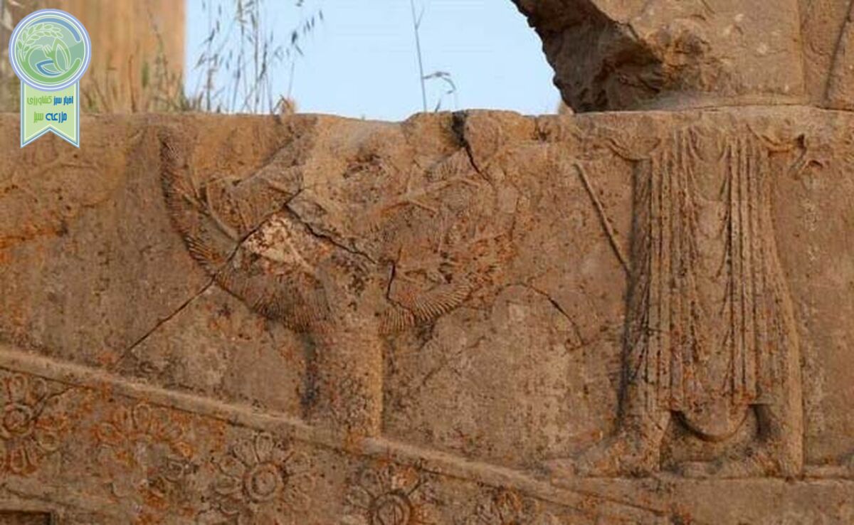 میراث تاریخی ایران در نبرد با گلسنگ‌ها و فرونشست زمین

