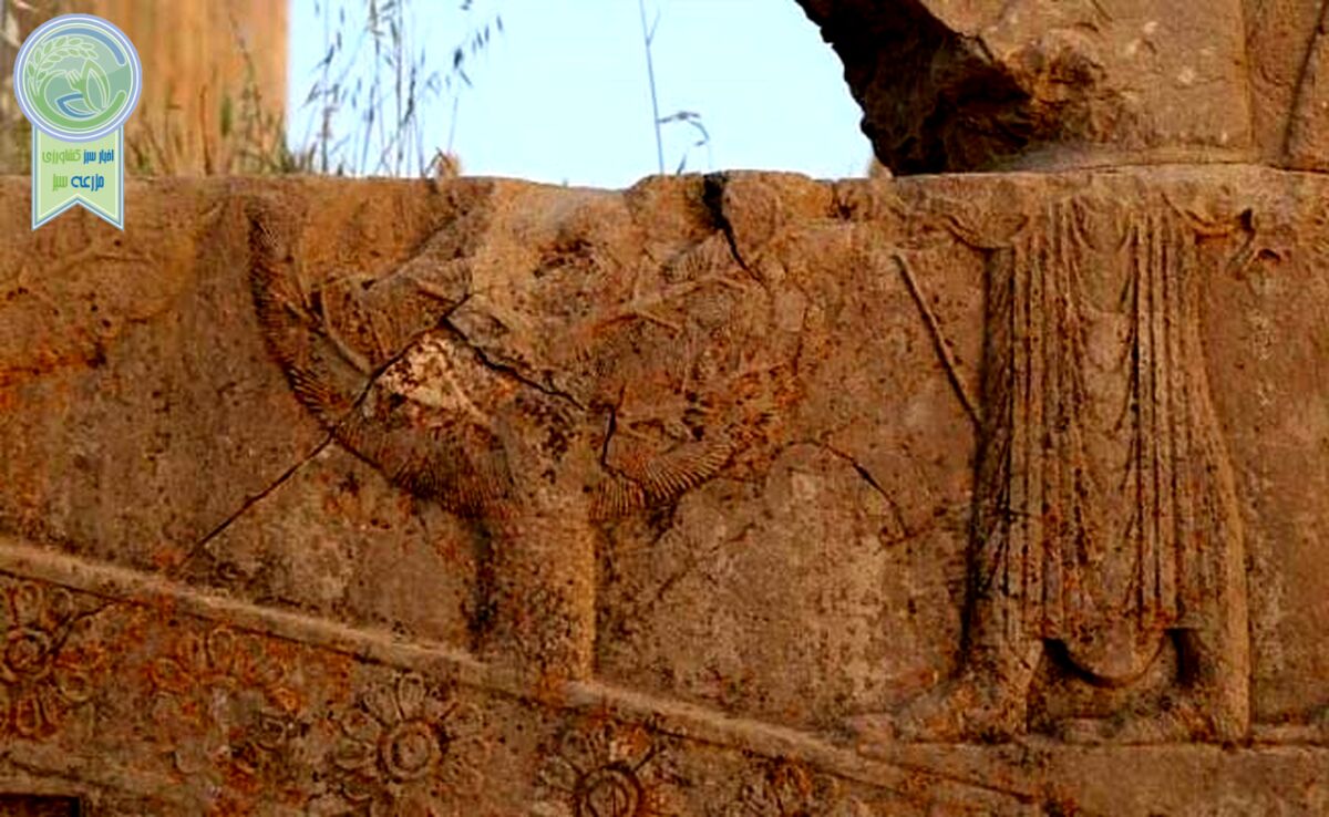 میراث تاریخی ایران در نبرد با گلسنگ‌ها و فرونشست زمین

