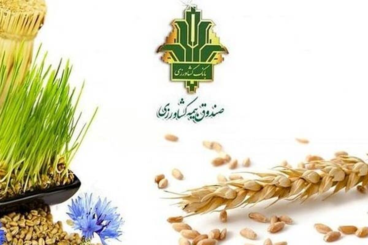 بیمه کشاورزی؛ پشتیبان تولید و تولیدکننده در برابر خطرات

