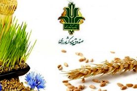 بیمه کشاورزی؛ پشتیبان تولید و تولیدکننده در برابر خطرات

