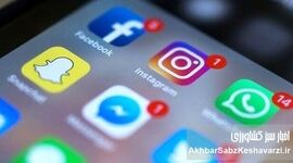 راز مهاجرت به پیام‌رسان‌های داخلی؛ اجبار یا اعتماد؟