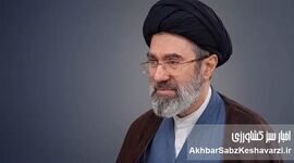 موضعی هوشمندانه
