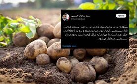 جهاد سیب‌زمینی در دولت چهاردهم شکل گرفت

