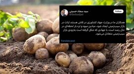جهاد سیب‌زمینی در دولت چهاردهم شکل گرفت

