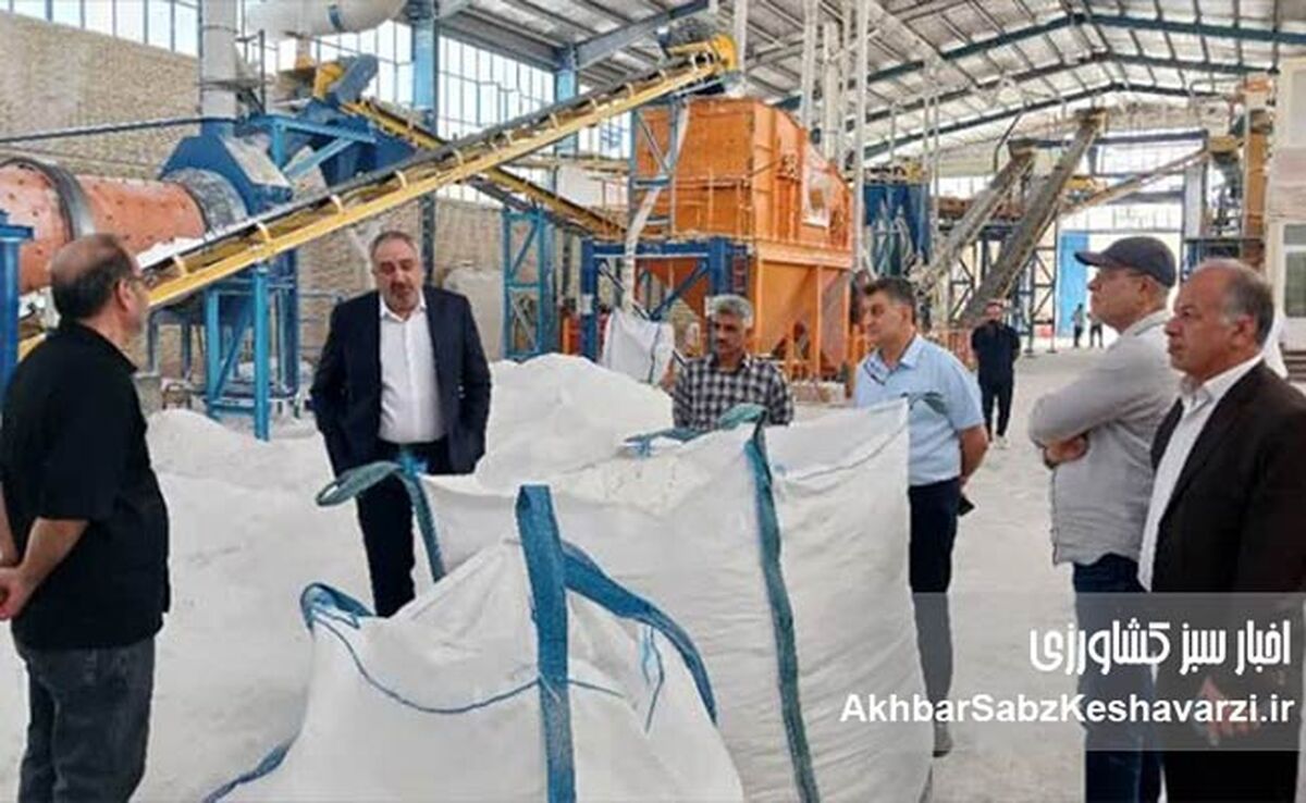 استقبال کیمیای سبز رفسنجان از مدیران ارشد شرکت ملی شیمی کشاورز