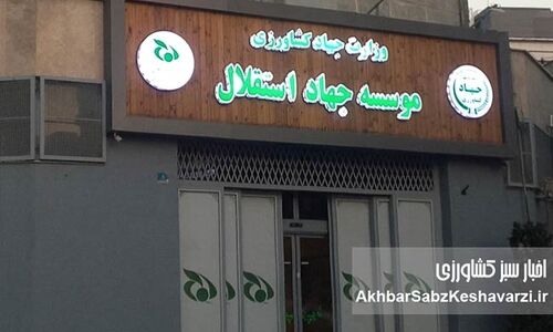 مدیرعامل اختلاسگر با وجود حکم قطعی اختلاس همچنان بر مسند مدیریت؛ معاون پرحاشیه و مدیرعامل وارداتی هم در تدارک سفر خارجی!
