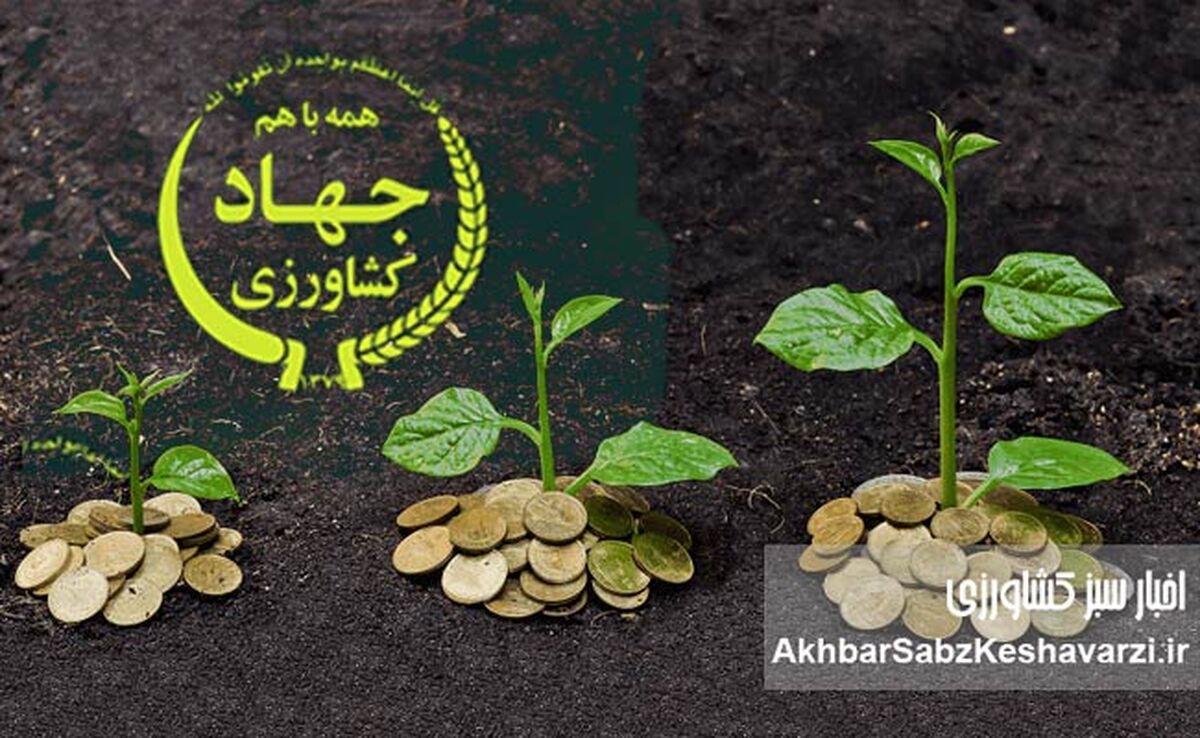 فاجعه در بخش کشاورزی ایران؛ رشد منفی 3.5درصدی در خرداد