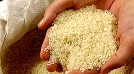 تکرار استراتژی چای دبش در بازار برنج