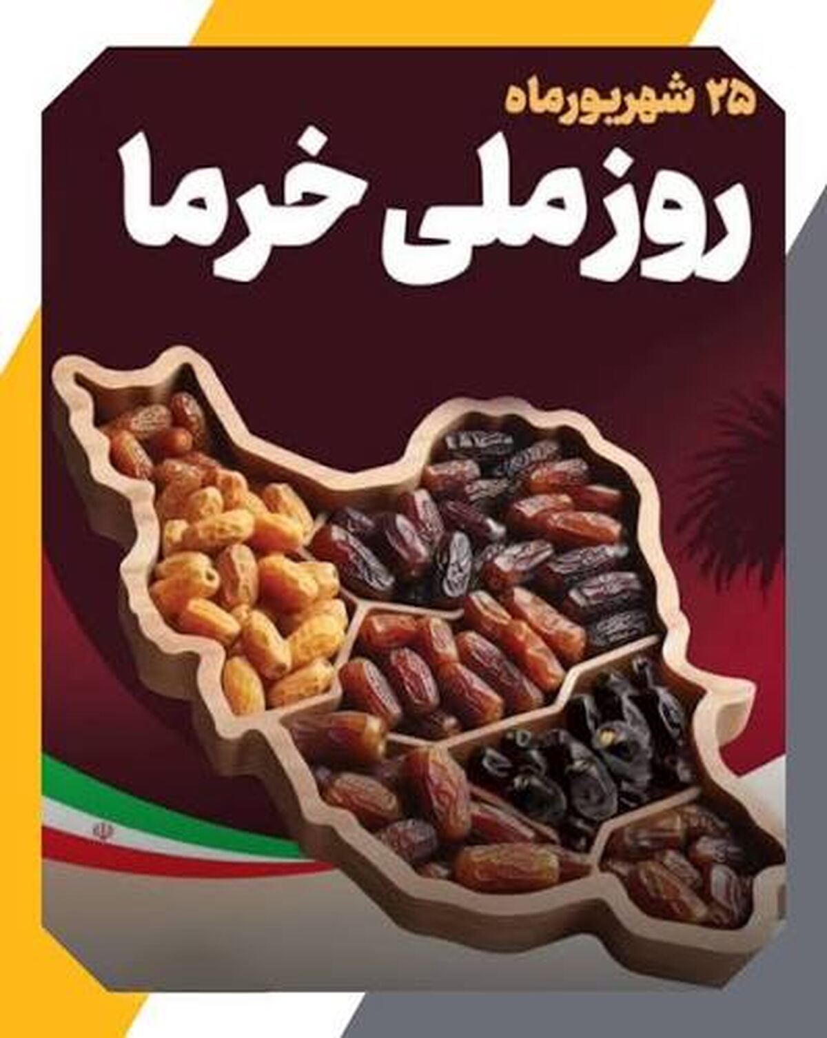 روز خرما؛ بازنگری در بحران‌های نخلداری کشور
