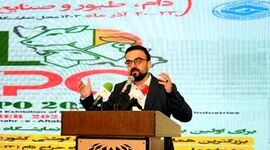 نمایشگاه تخصصی دام، طیور بستری برای ارائه توانمندی تشکل‌ها

