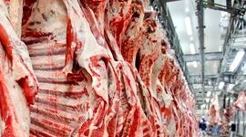 دادخواهی در پیشگاه ملت

