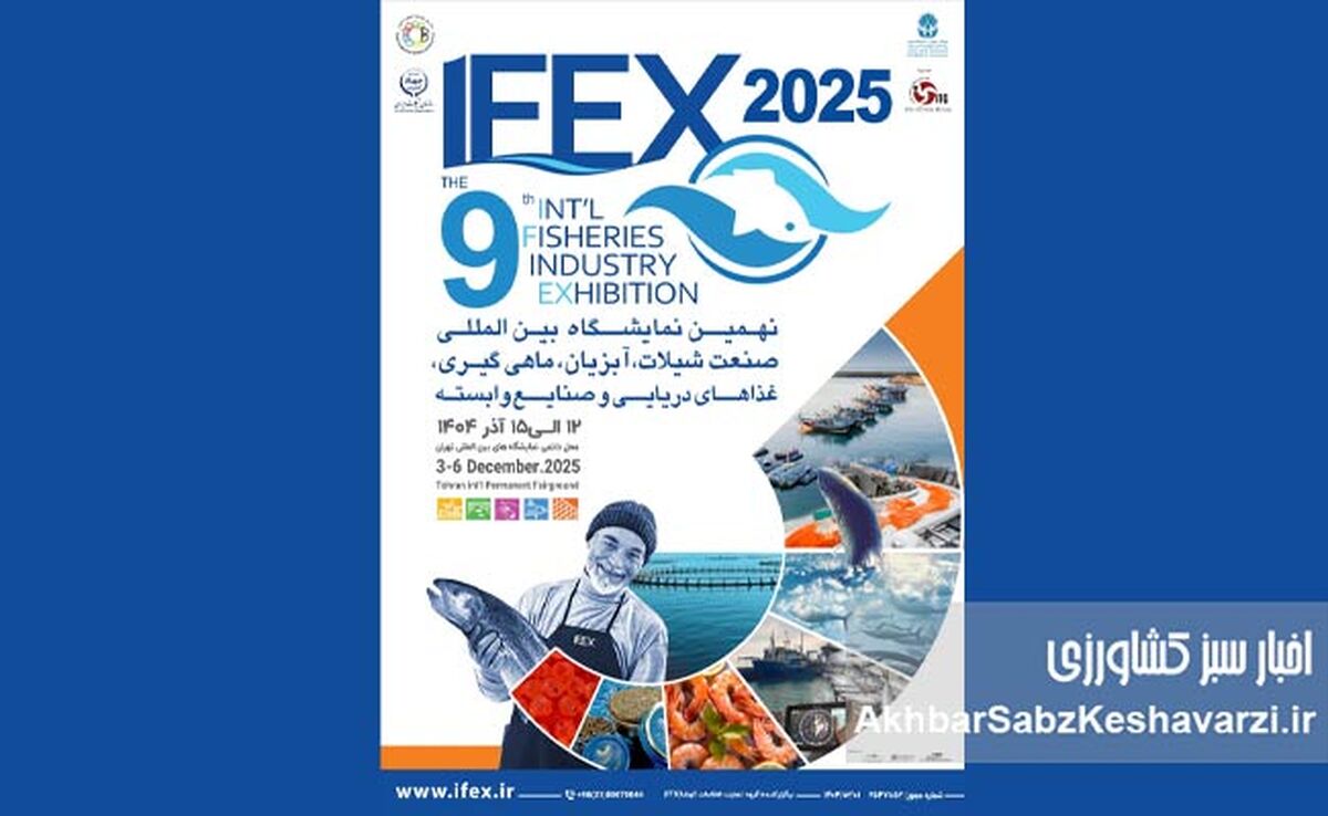 آغاز IFEX 1404؛ نهمین نمایشگاه بین‌المللی شیلات تهران هفته آینده