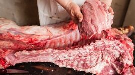 گوشت گاومیش به جای گوشت گوساله؟ ابهام در واردات گوشت و ضرورت شفاف‌سازی ارزی