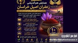 توجه به زعفران، توجه به هویت ملی کشور