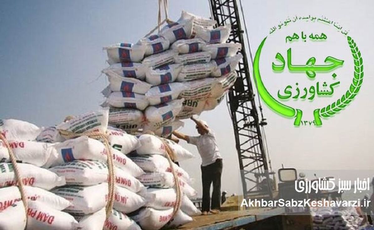 برنج وارداتی؛ فاکتورسازی برای خروج بی‌بازگشت ارز دولتی از کجا کلید خورد؟