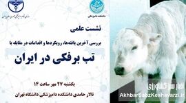 تب برفکی در ایران؛ وقتی دام‌ها می‌میرند و وزیر درگیر پس گرفتن امضاهای استیضاح است