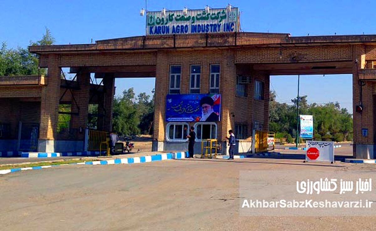 تحول در غول نیشکری ایران؛ محمود شمیلی سکان کشت و صنعت کارون را به دست گرفت