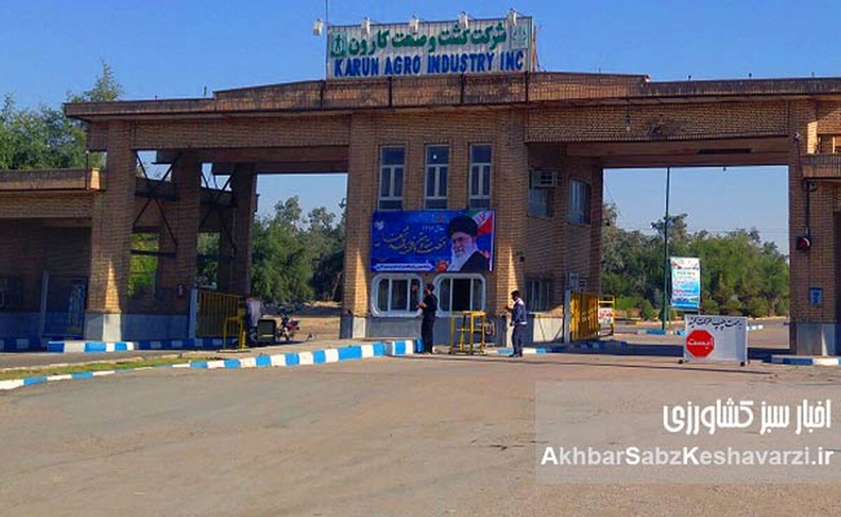 تحول در غول نیشکری ایران؛ محمود شمیلی سکان کشت و صنعت کارون را به دست گرفت