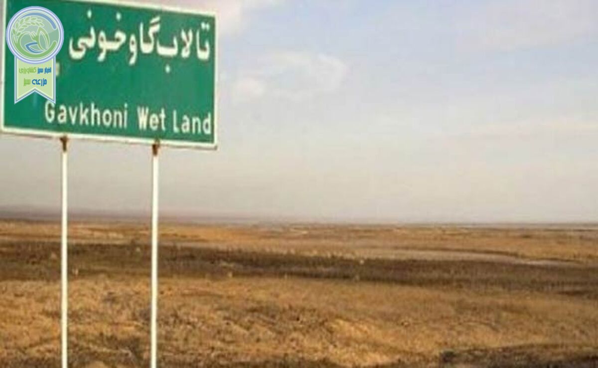 وجود فلزات سنگین در گردوغبار تالاب گاوخونی

