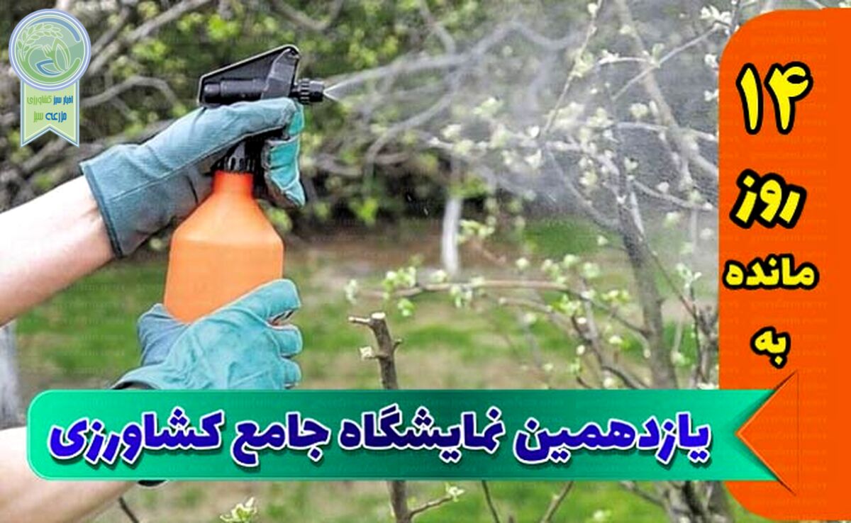 برگزارکنندگان نمایشگاه به غرفه‌داران خدماتی ویژه ارائه دهند

